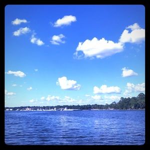 Meet your Posher, JJ!